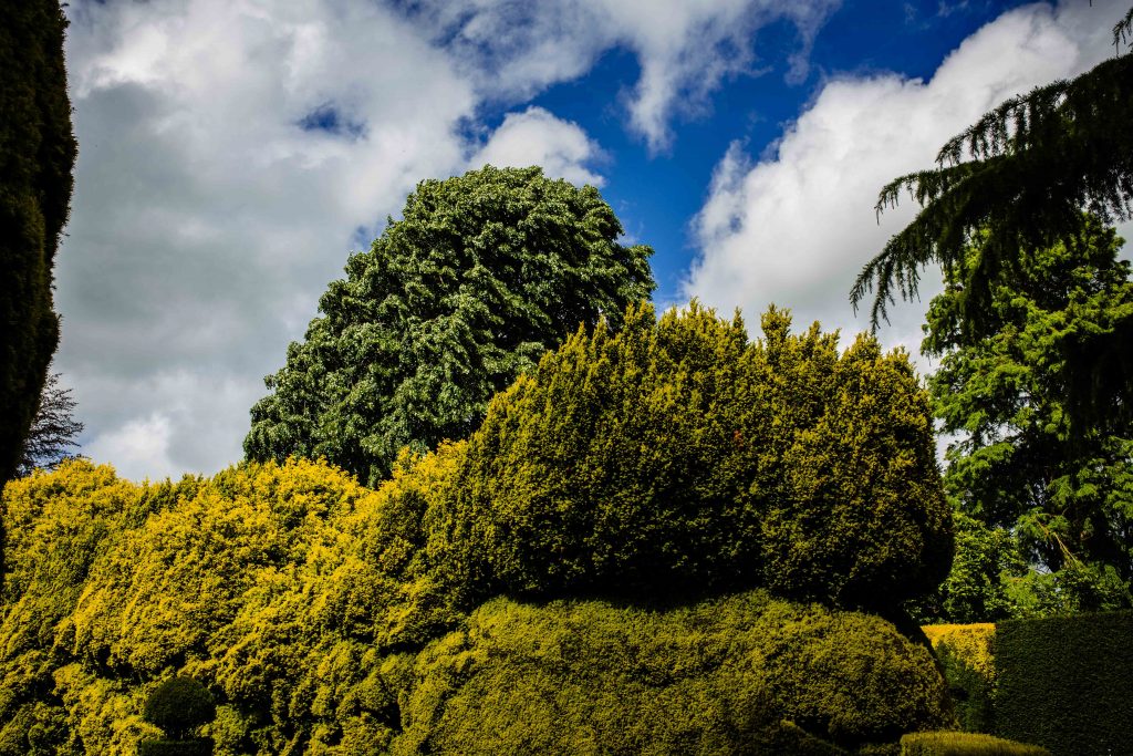Ascott-National-Trust-Bhavik-Sonigra-10