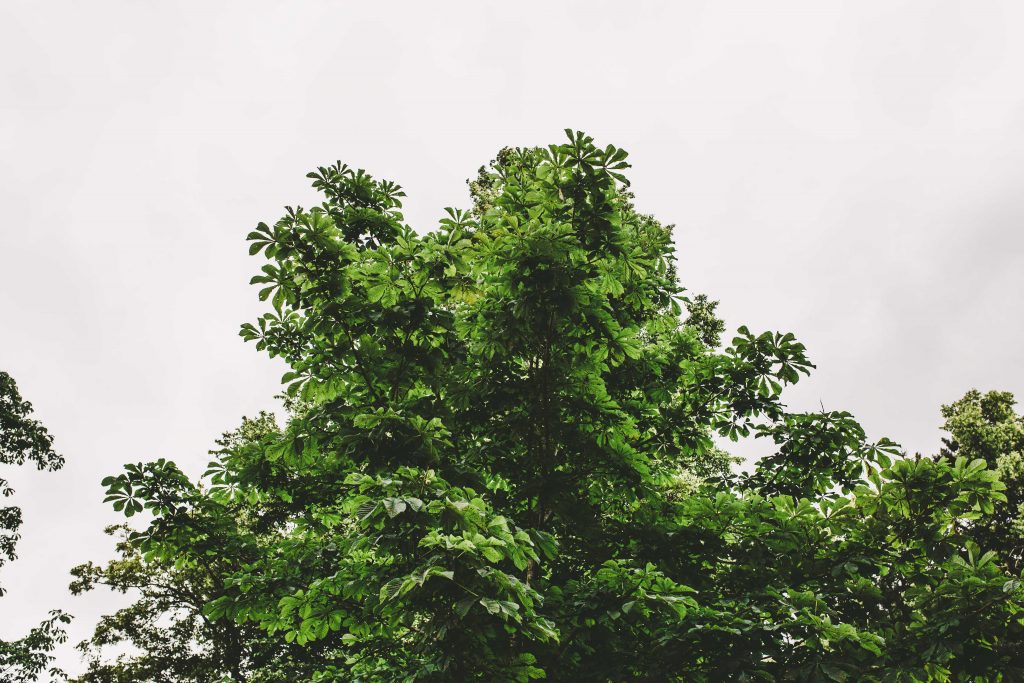 Ascott-National-Trust-Bhavik-Sonigra-2